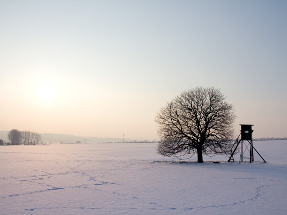 Bild mit dem Titel Baum, Jagd­hütte und Sonne